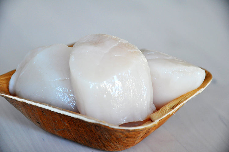 Large Dayboat Scallops