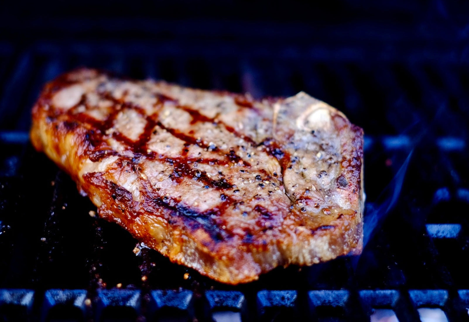 Angus T-Bone