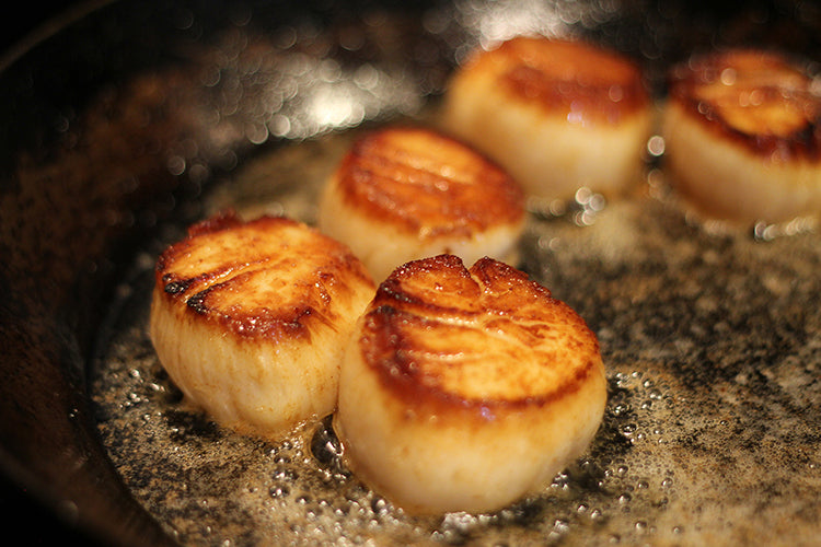 Large Dayboat Scallops