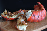 Maine Lobster