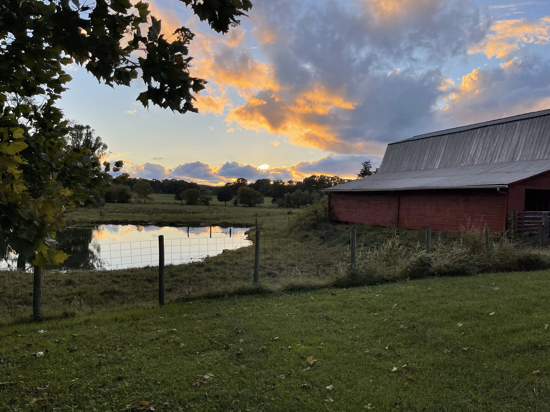 Butcher Box vs. Crowd Cow: A Breakdown & A Great Alternative