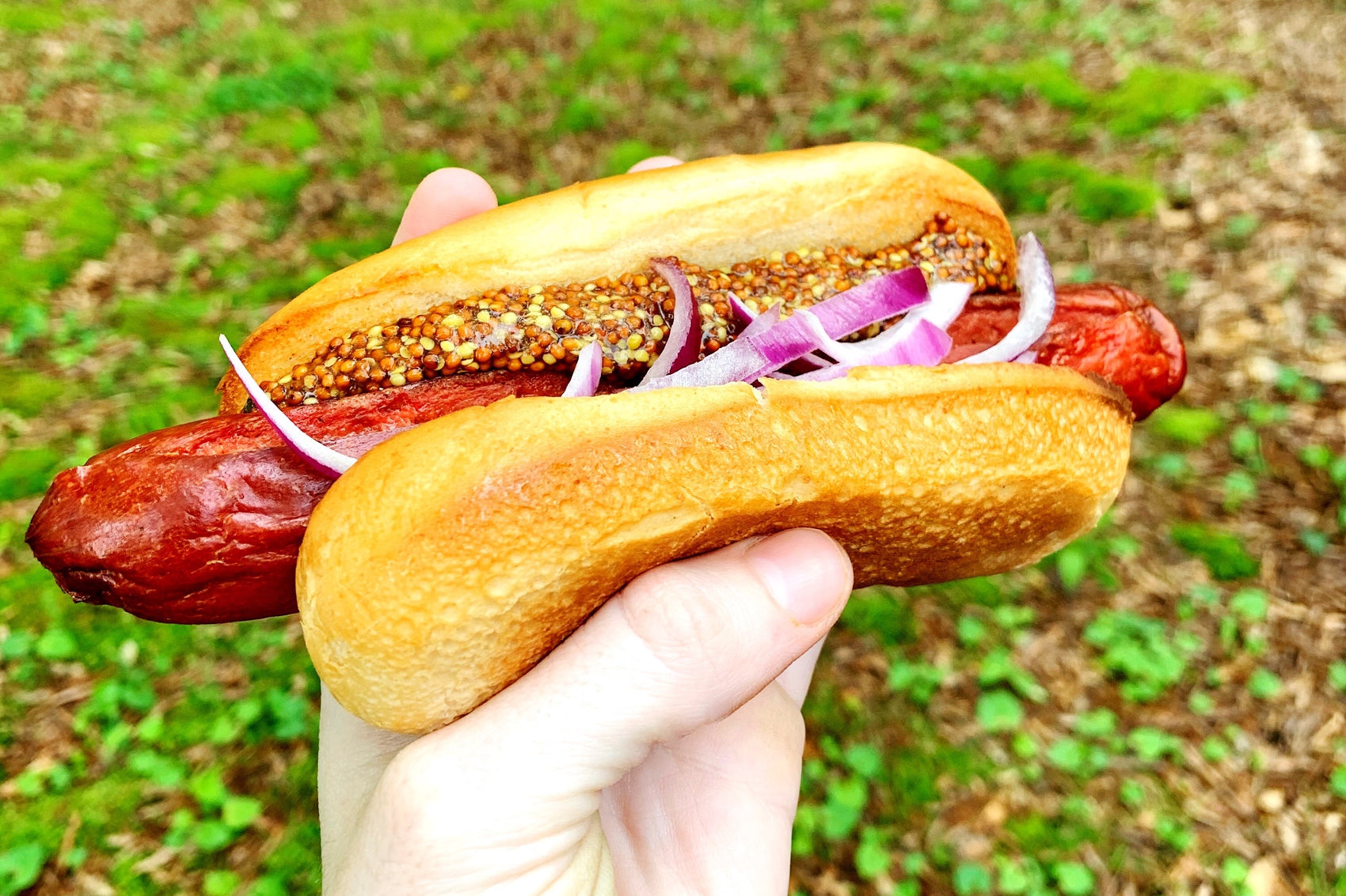 44 Farms Angus Beef Hot Dogs